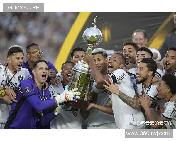 足球拿冠军的荣耀之路与背后的奋斗故事