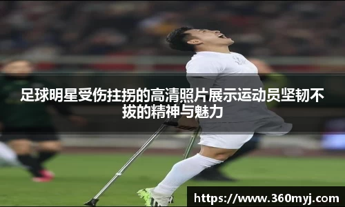 三亿体育官网入口